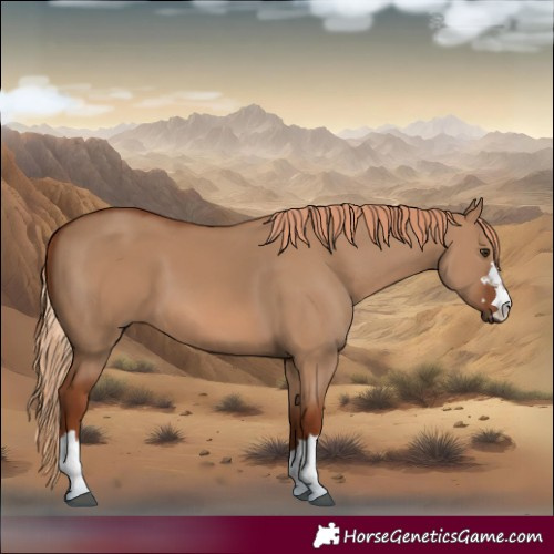 Horse Color:Red Dun