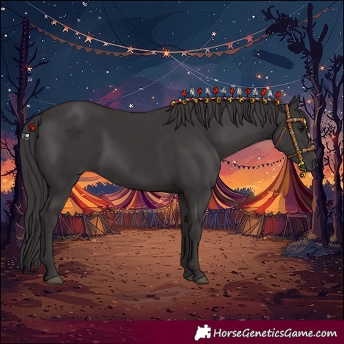 Horse Color:Smoky Black 