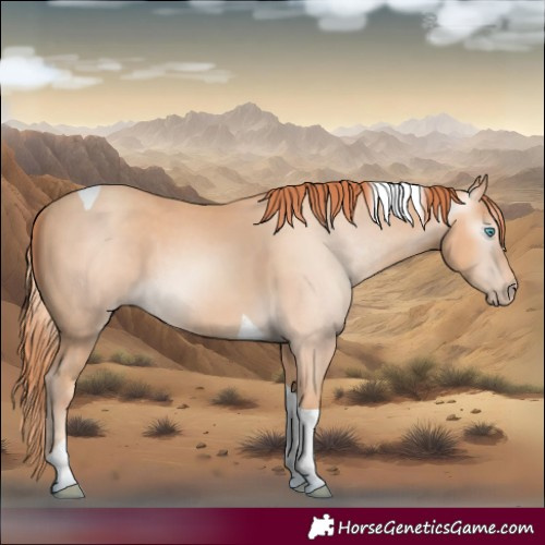 Horse Color:Gray Smoky Creme Tobiano