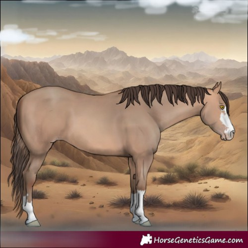 Horse Color:Amber Champagne 