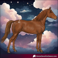 Horse Color:Gray Chestnut Varnish 