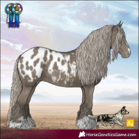 Horse Color:Silver Smoky Black Blanket 