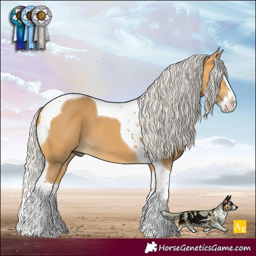 Horse Color:Silver Buckskin Splash Tobiano