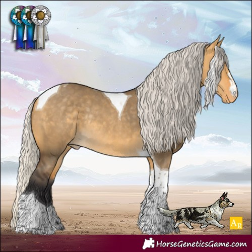Horse Color:Silver Buckskin Dun Tobiano Appaloosa Rabicano 