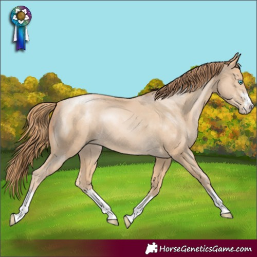 Horse Color:Buckskin Pearl