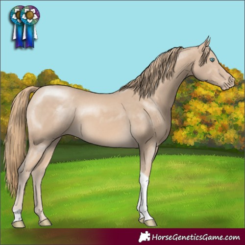 Horse Color:Perlino Tobiano Rabicano 