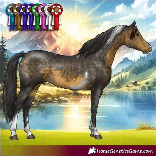 Horse Color:Buckskin Tobiano 