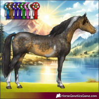 Horse Color:Buckskin Tobiano 
