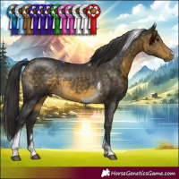 Horse Color:Buckskin Tobiano