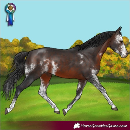 Horse Color:Brown Sabino