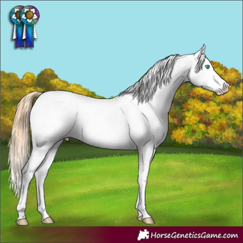 Horse Color:Buckskin Pearl Sabino 