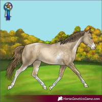Horse Color:Buckskin Pearl Sabino