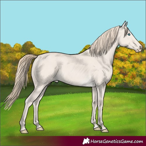 Horse Color:Smoky Creme Dun 