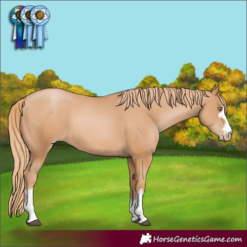 Horse Color:Chestnut Pearl 