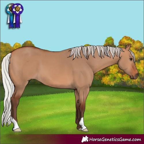 Horse Color:Silver Bay Dun