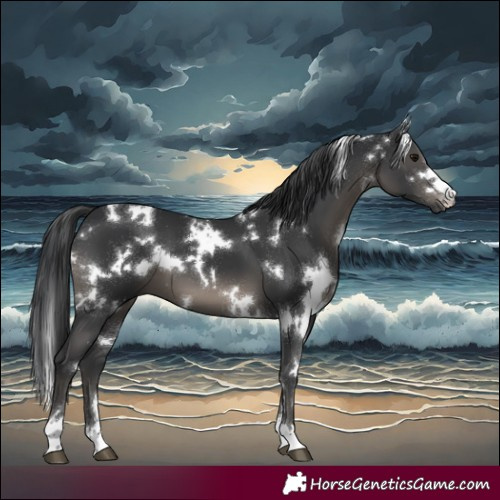 Horse Color:White Spotted Black