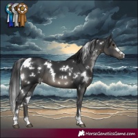 Horse Color:White Spotted Black