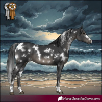 Horse Color:White Spotted Black