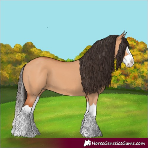 Horse Color:Bay Dun Splash