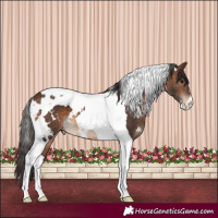 Horse Color:White Spotted Brown Tobiano Varnish 