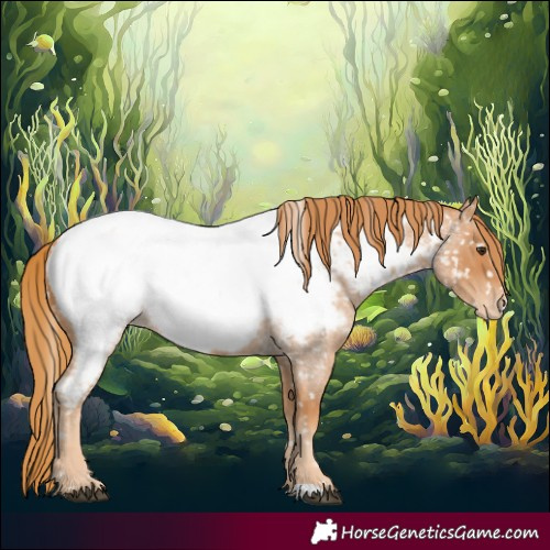 Horse Color:Red Roan Near Fewspot