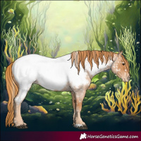 Horse Color:Red Roan Near Fewspot