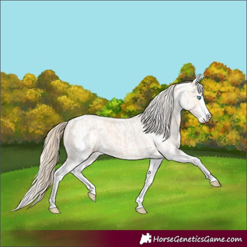 Horse Color:Perlino Splash  and Perlino Splash 