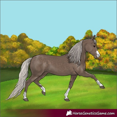 Horse Color:Silver Black 