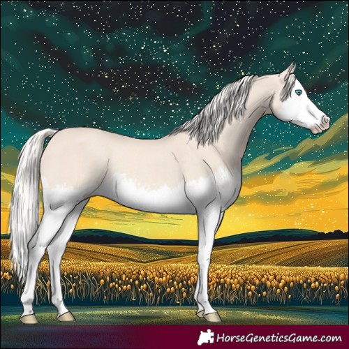 Horse Color:Cremello Splash and Cremello Splash Rabicano