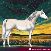 Horse Color:Cremello Splash and Cremello Splash Rabicano