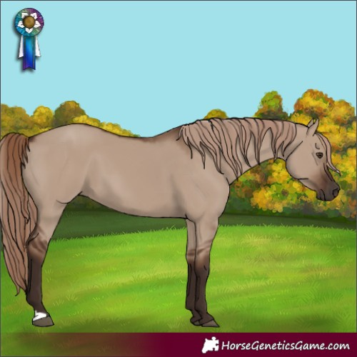 Horse Color:Liver Red Dun 