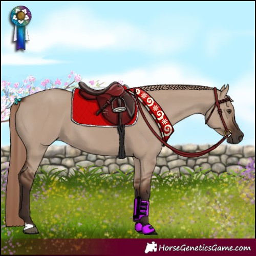 Horse Color:Liver Red Dun