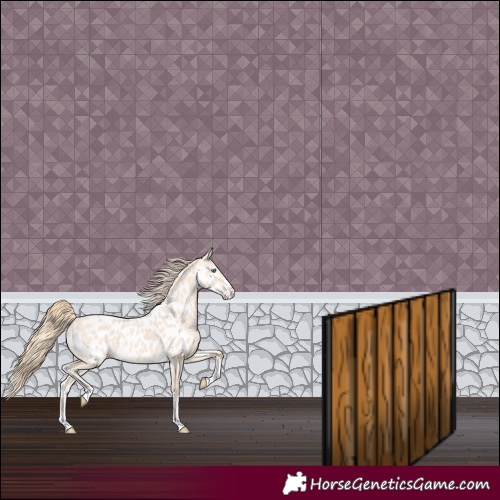 Horse Color:Perlino Near Leopard 