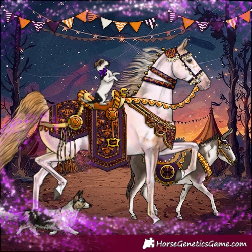 Horse Color:White Spotted Chestnut Frame 