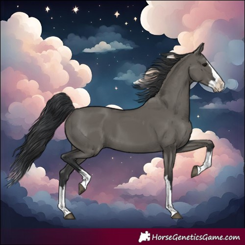 Horse Color:Grullo Splash 
