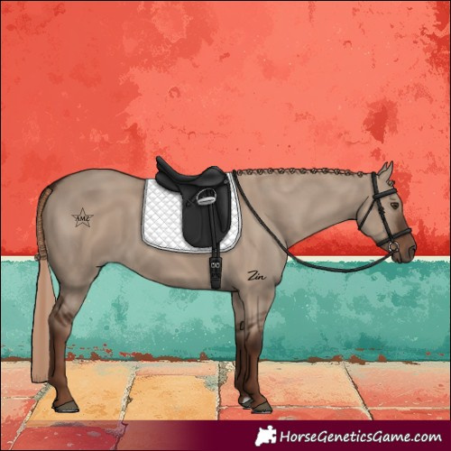 Horse Color:Liver Red Dun 