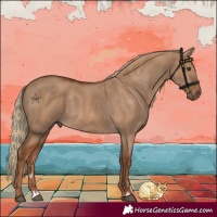 Horse Color:Red Dun 