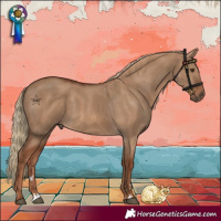 Horse Color:Red Dun 