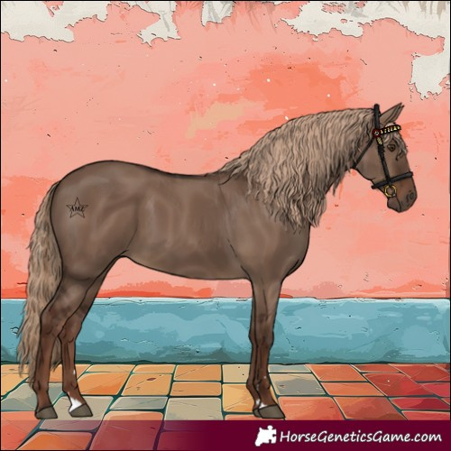 Horse Color:Liver Red Dun 