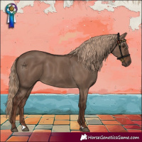 Horse Color:Liver Red Dun