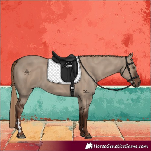 Horse Color:Liver Red Dun