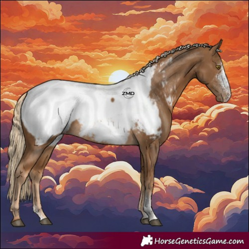 Horse Color:Chocolate Palomino Sabino Snowcap Rabicano 
