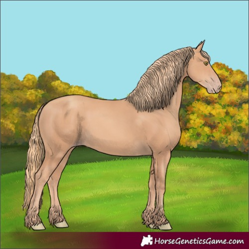 Horse Color:Gold Champagne