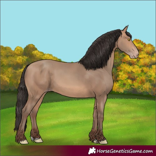 Horse Color:Amber Champagne 