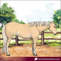 Horse Color:Palomino 
