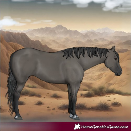 Horse Color:Grullo