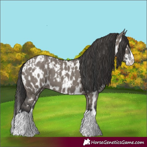 Horse Color:Grullo Sabino Splash and Grullo Sabino Splash Near Leopard