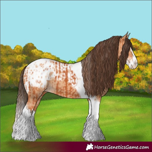Horse Color:Bay Splash Tobiano Blanket  and Bay Dun Splash Tobiano Blanket 