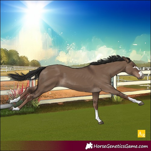 Horse Color:Liver Red Dun Rabicano