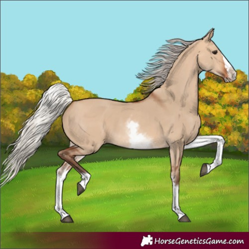 Horse Color:White Spotted Silver Bay Dun Splash